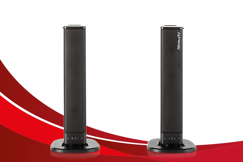 MobileTV Twin